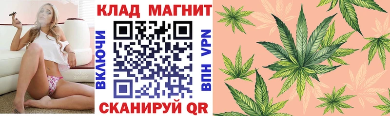 LSD-25 Белово
