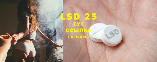 стаф Баксан