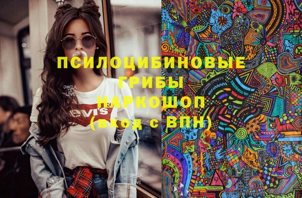 стаф Баксан