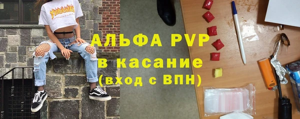 стаф Баксан