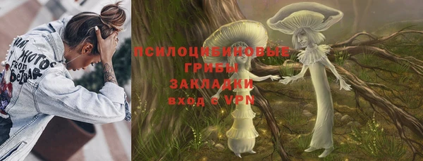 стаф Баксан