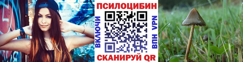 сколько стоит  Белово  KRAKEN ссылки  Галлюциногенные грибы мицелий 