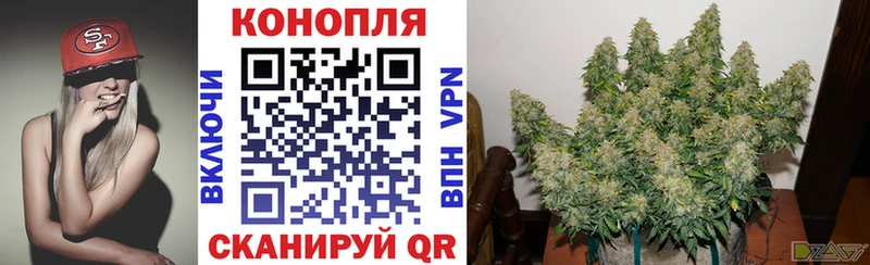Шишки марихуана индика  кракен ссылки  Белово 